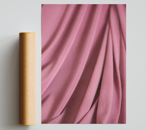 Rose Folds & Hues Poster