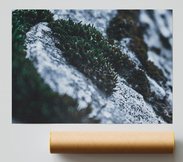 Emerald Stone Growth Print