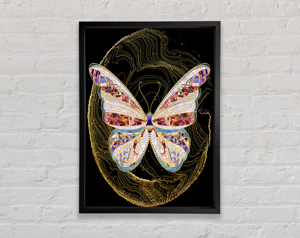 Colourful Butterfly  Gold Lines Framed Print
