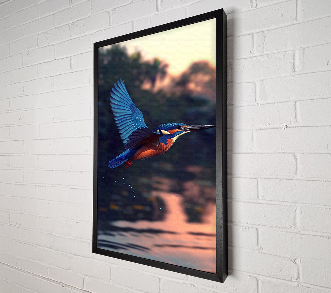  A Canvas Print of Azure Kingfisher Dive Canvas Print