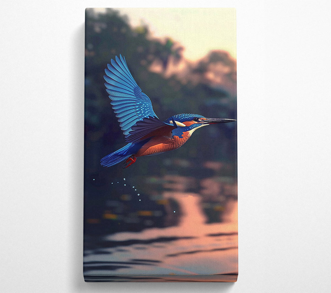  A Canvas Print of Azure Kingfisher Dive Canvas Print