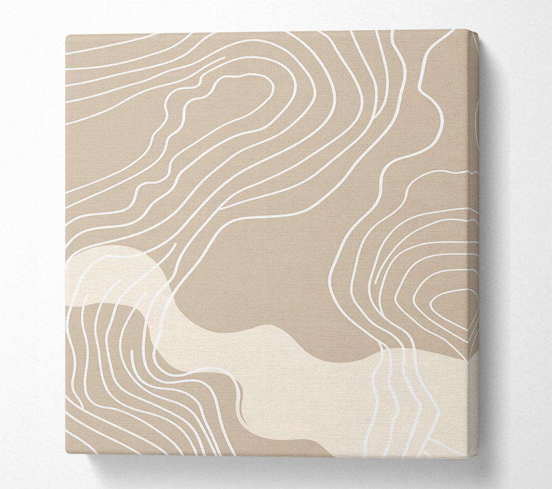  A Canvas Print of Beige Curving Lines Canvas Wall Art