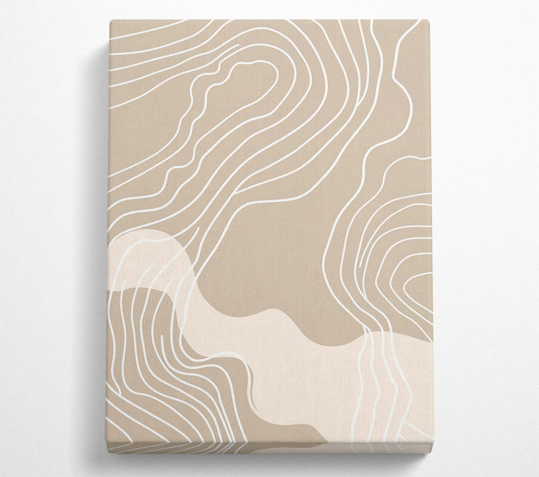  A Canvas Print of Beige Curving Lines Canvas Wall Art