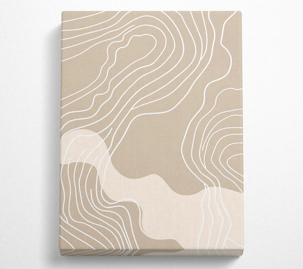 A Canvas Print of Beige Curving Lines Canvas Wall Art