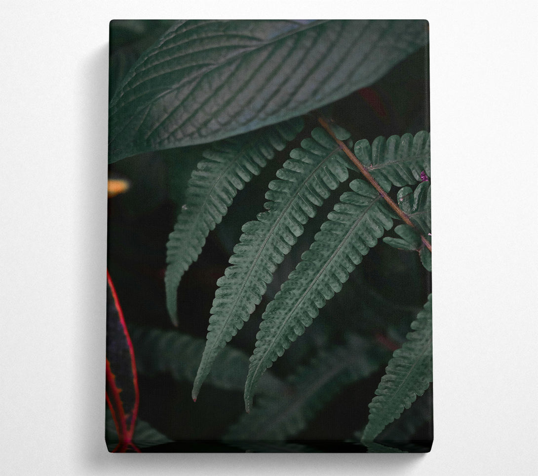  A Canvas Print of Emerald Fern Fronds Canvas Art