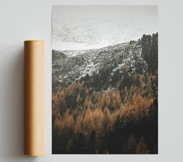 Golden Forest Peaks Giclee Print