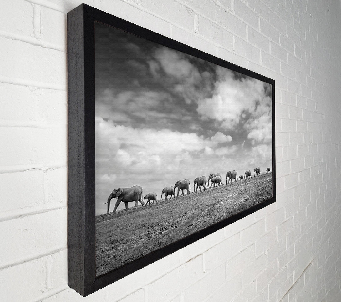  A Canvas Print of Gray Clouds, Elephant Line Canvas Art