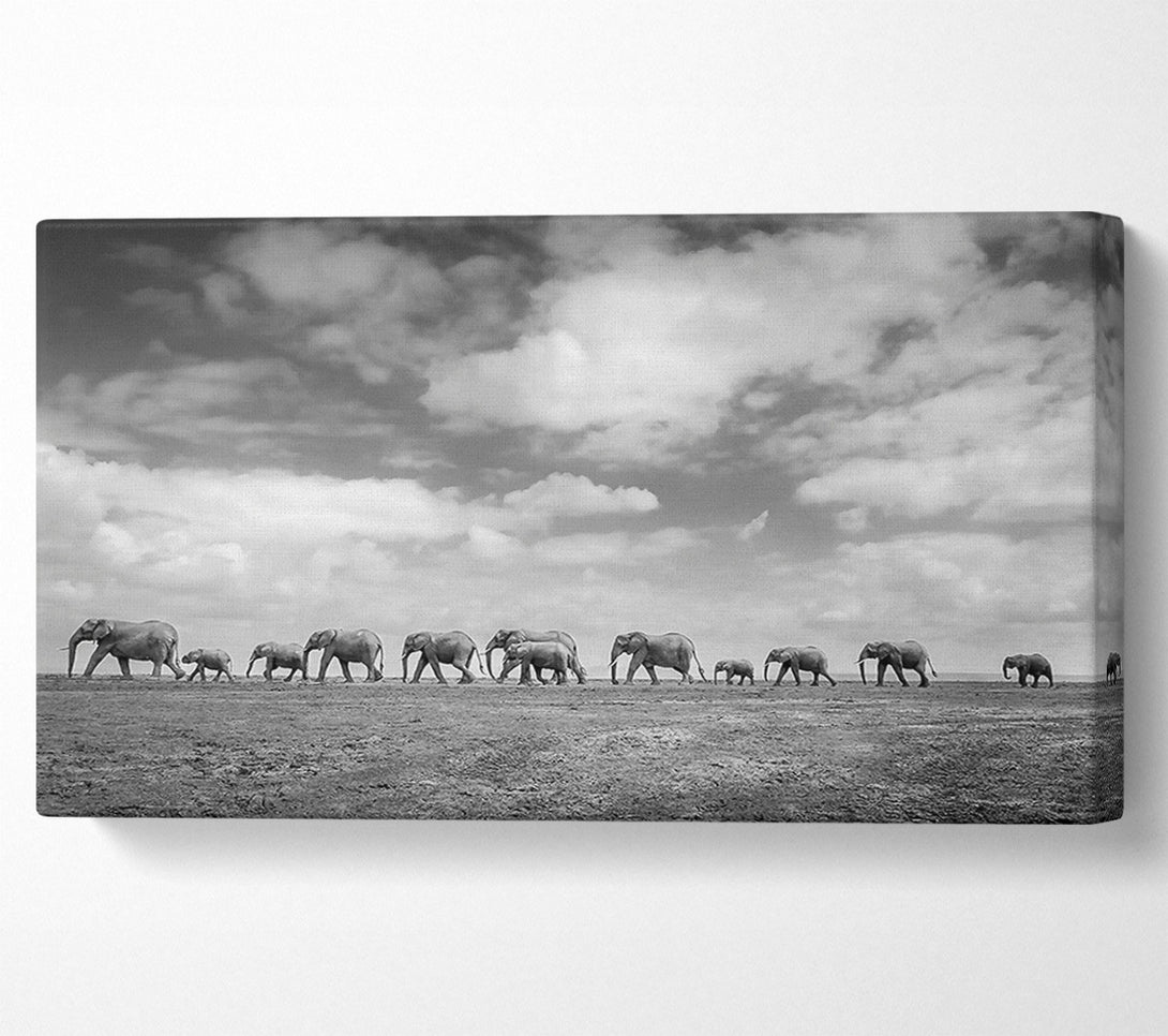  A Canvas Print of Gray Clouds, Elephant Line Canvas Art