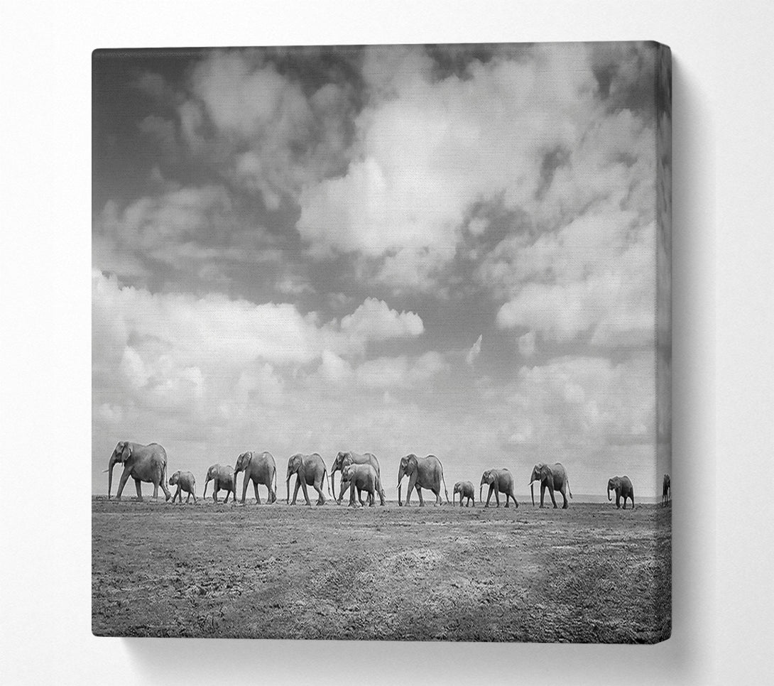  A Canvas Print of Gray Clouds, Elephant Line Canvas Art