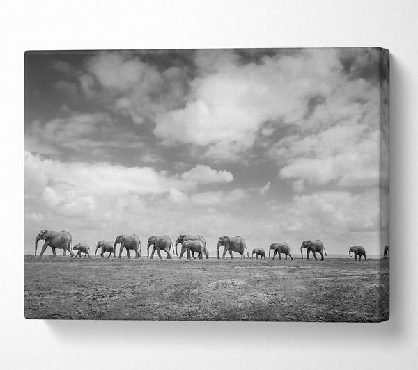  A Canvas Print of Gray Clouds, Elephant Line Canvas Art