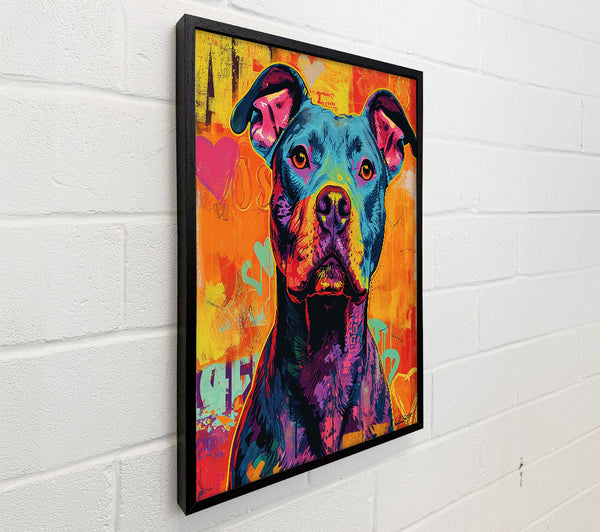 Colourful Graffiti Pitbull