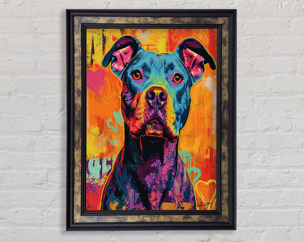 Colourful Graffiti Pitbull Framed Print