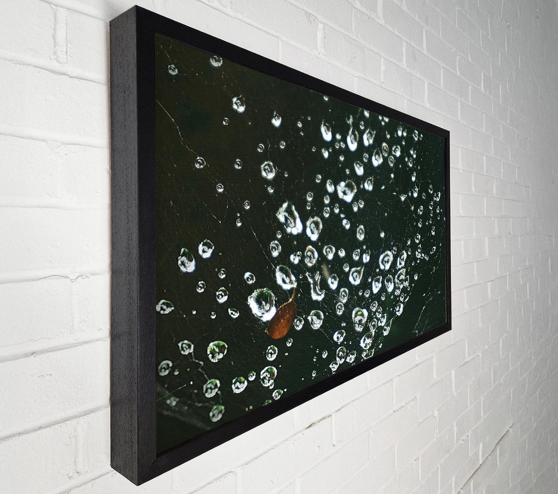  A Canvas Print of Silver Dewdrops On Black Web Canvas Art