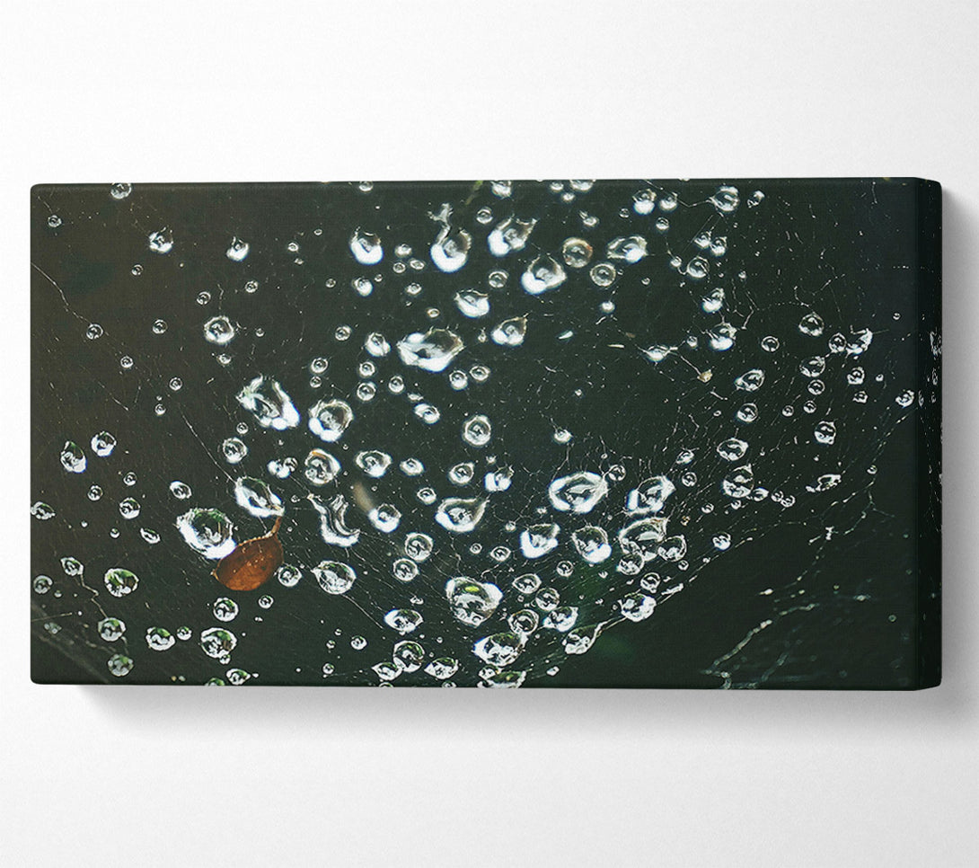  A Canvas Print of Silver Dewdrops On Black Web Canvas Art