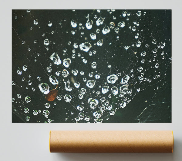 Silver Dewdrops On Black Web Poster