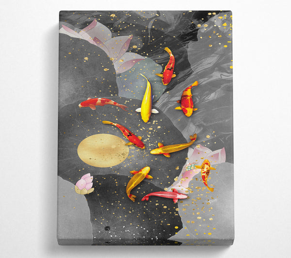  A Canvas Print of Colourful Koi Fish Canvas Print