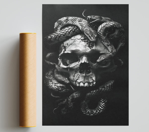 Silver Skull And Serpents Poster