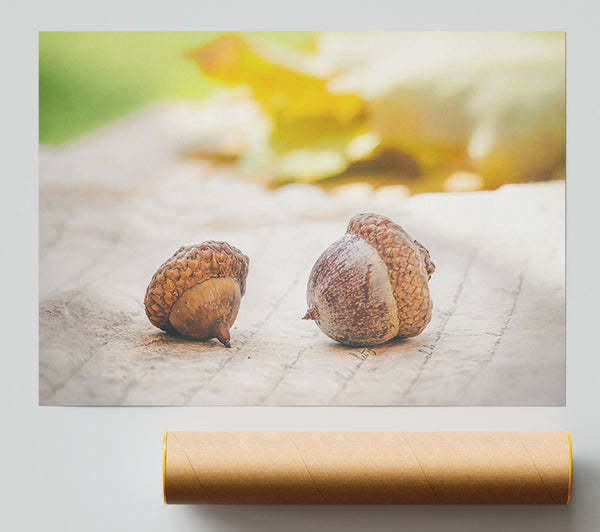 Brown Acorns On Linen Giclee Print