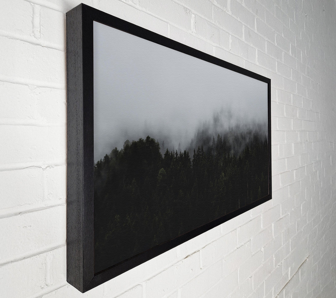  A Canvas Print of Gray Foggy Forest Canvas Art