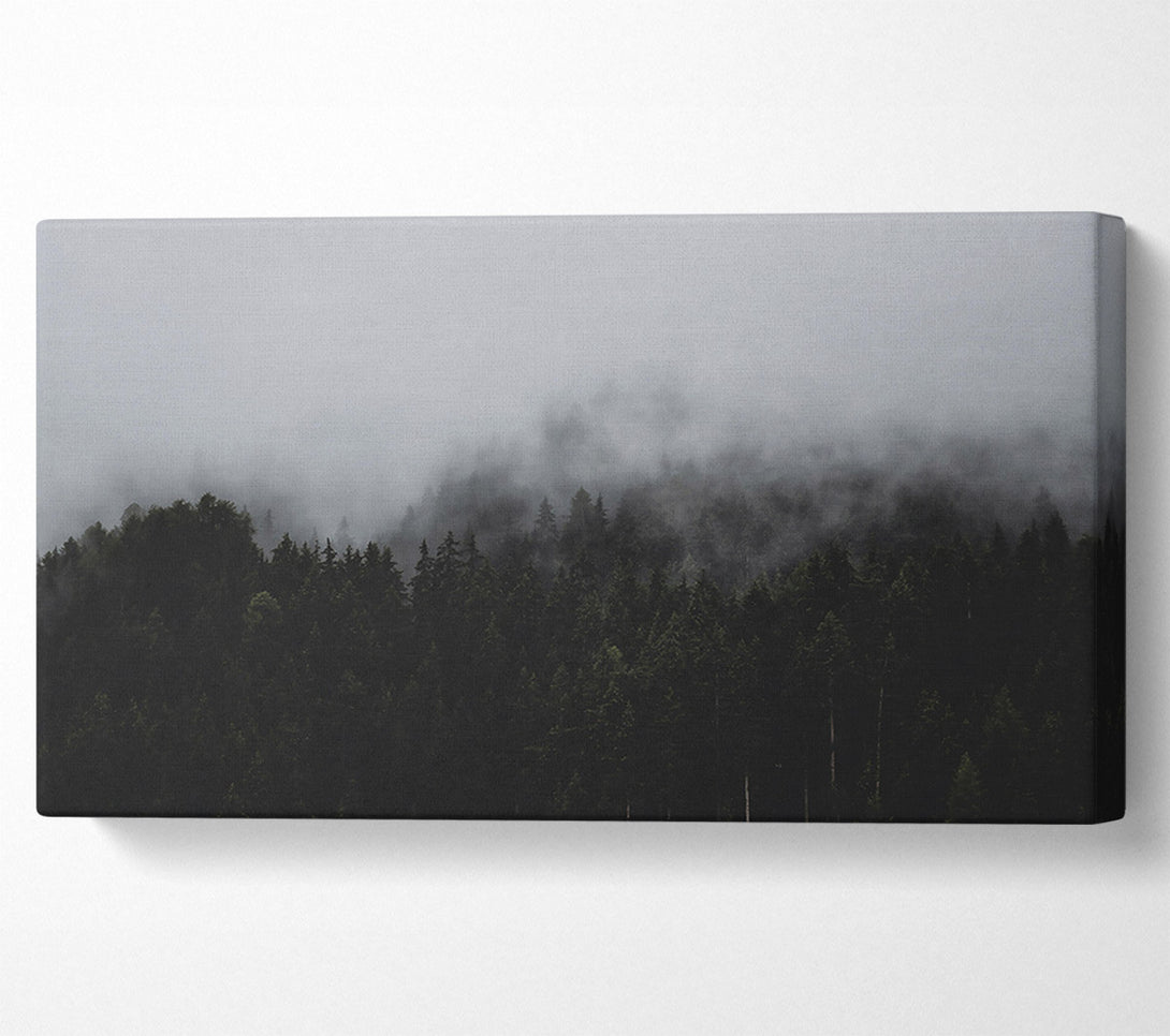  A Canvas Print of Gray Foggy Forest Canvas Art
