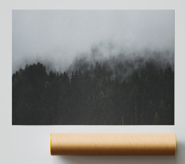 Gray Foggy Forest Print