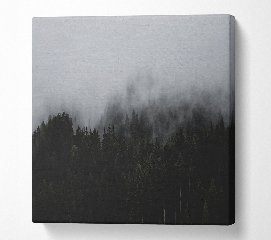  A Canvas Print of Gray Foggy Forest Canvas Art