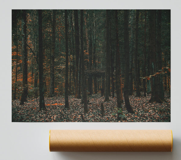 Autumn Forest Green Print