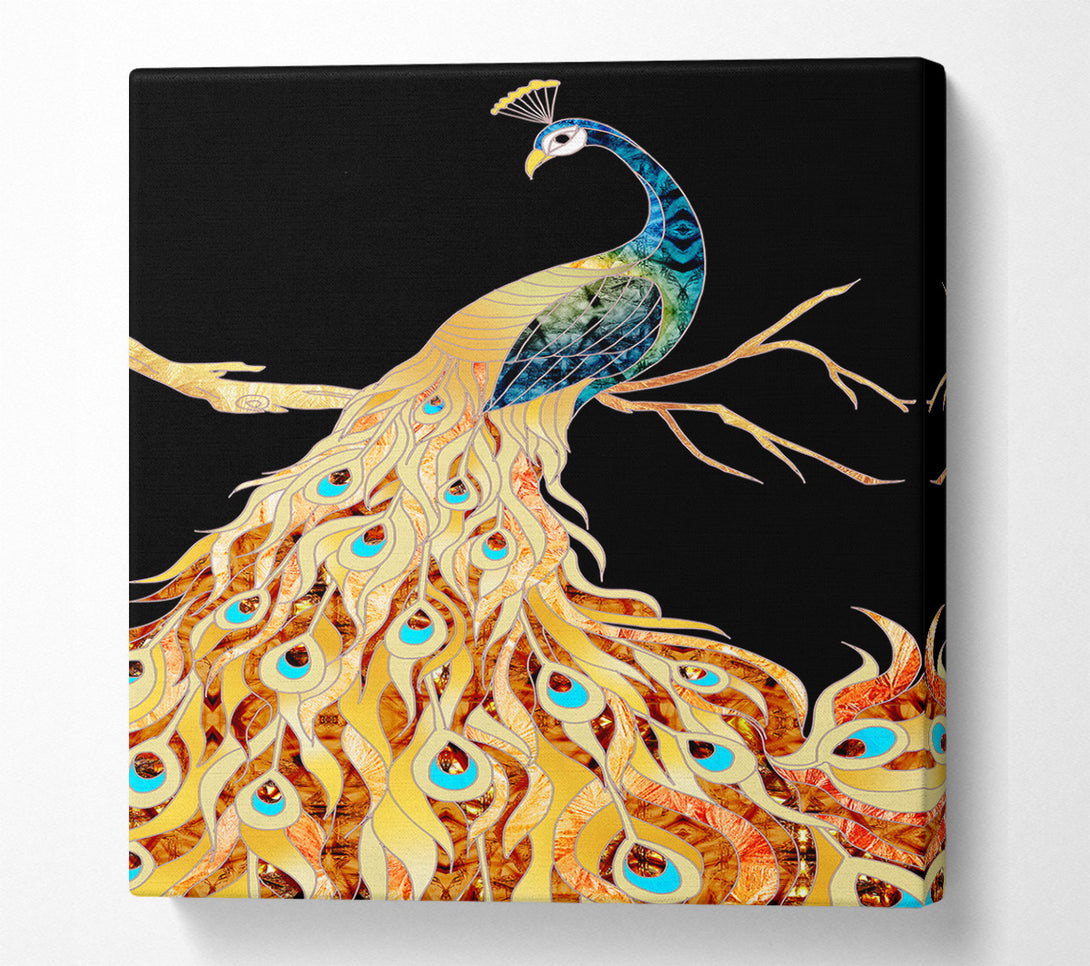  A Canvas Print of Colourful Peacock Canvas Print