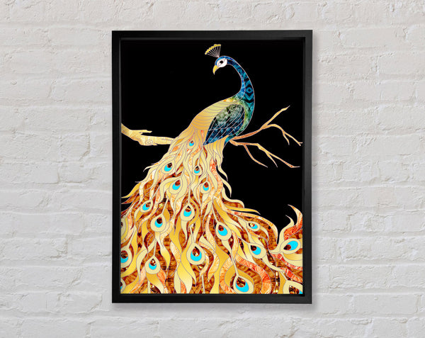 Colourful Peacock Framed Print