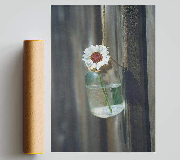 White Daisy In Blue Glass Print