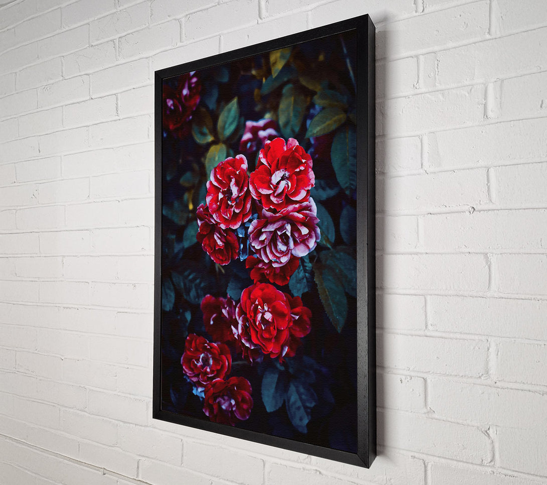  A Canvas Print of Crimson Rose Bouquet Canvas Print