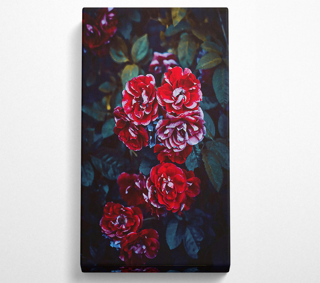  A Canvas Print of Crimson Rose Bouquet Canvas Print