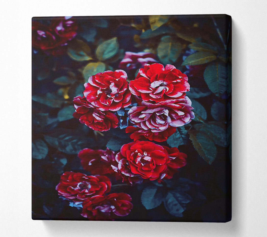 A Canvas Print of Crimson Rose Bouquet Canvas Print