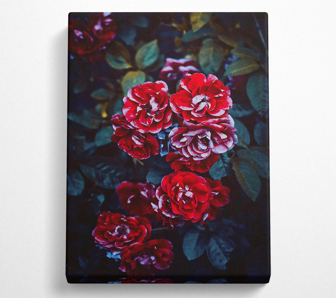  A Canvas Print of Crimson Rose Bouquet Canvas Print