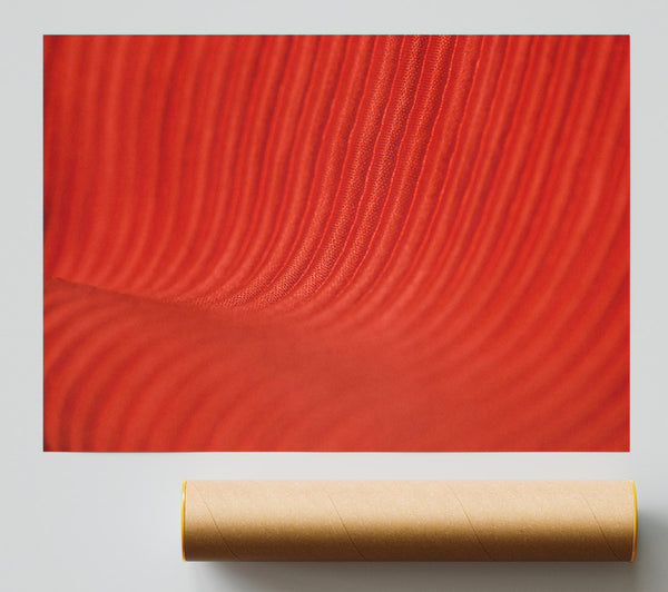 Crimson Ribbed Texture Print