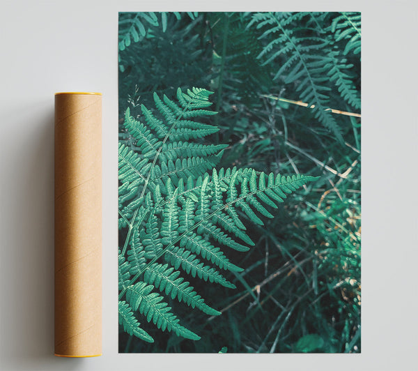 Emerald Green Fern Fronds Giclee Print