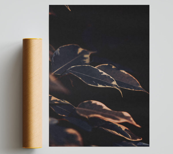 Dark Peach Leaves Giclee Print