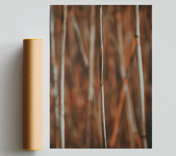 The Rusty Stems Print