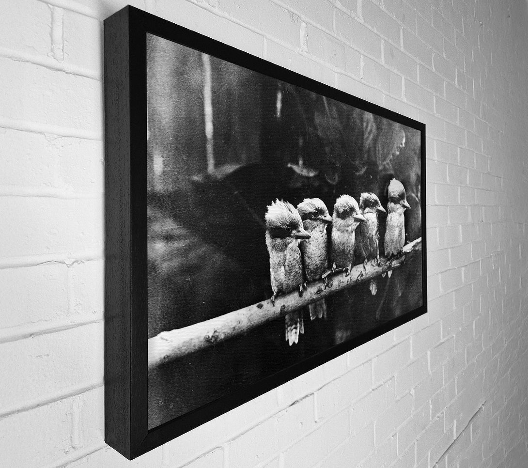  A Canvas Print of Cookabrah Canvas Wall Art