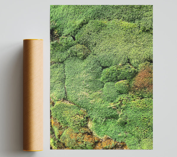 Emerald Moss Patches Poster
