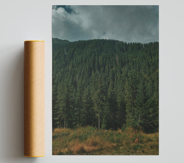 Emerald Green Forest Poster