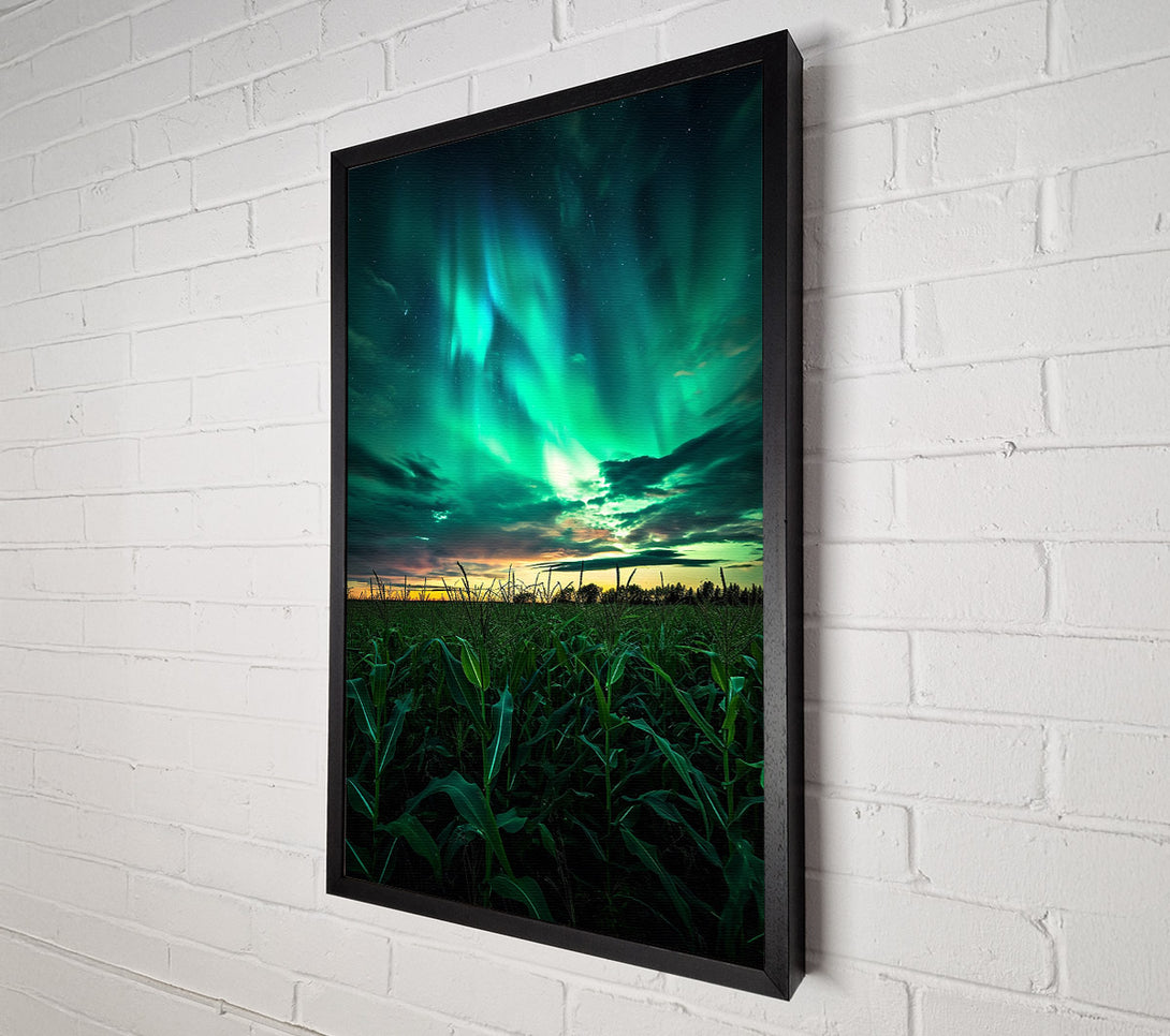  A Canvas Print of Cornfield Skies Canvas Art