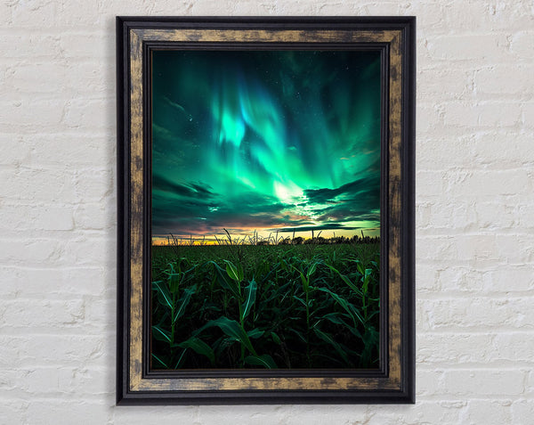 Cornfield Skies Framed Print