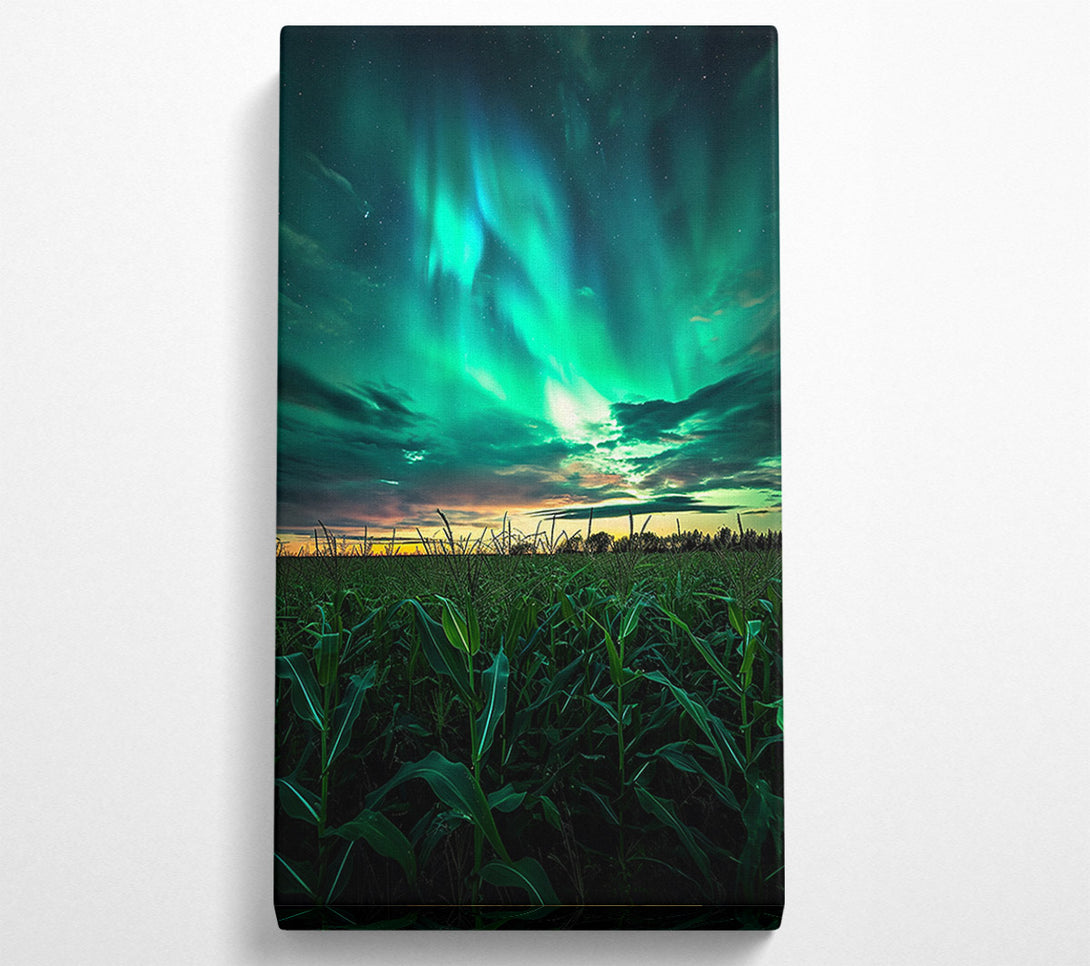  A Canvas Print of Cornfield Skies Canvas Art