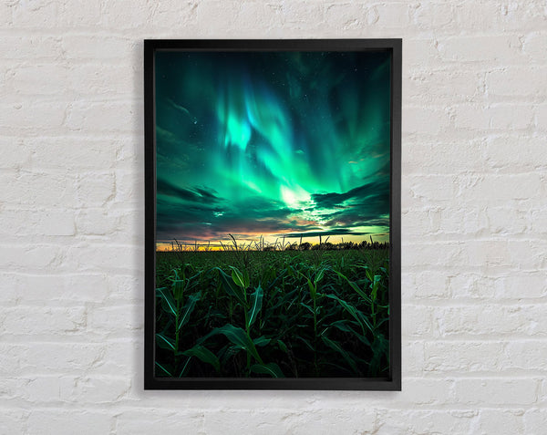 Cornfield Skies Framed Print