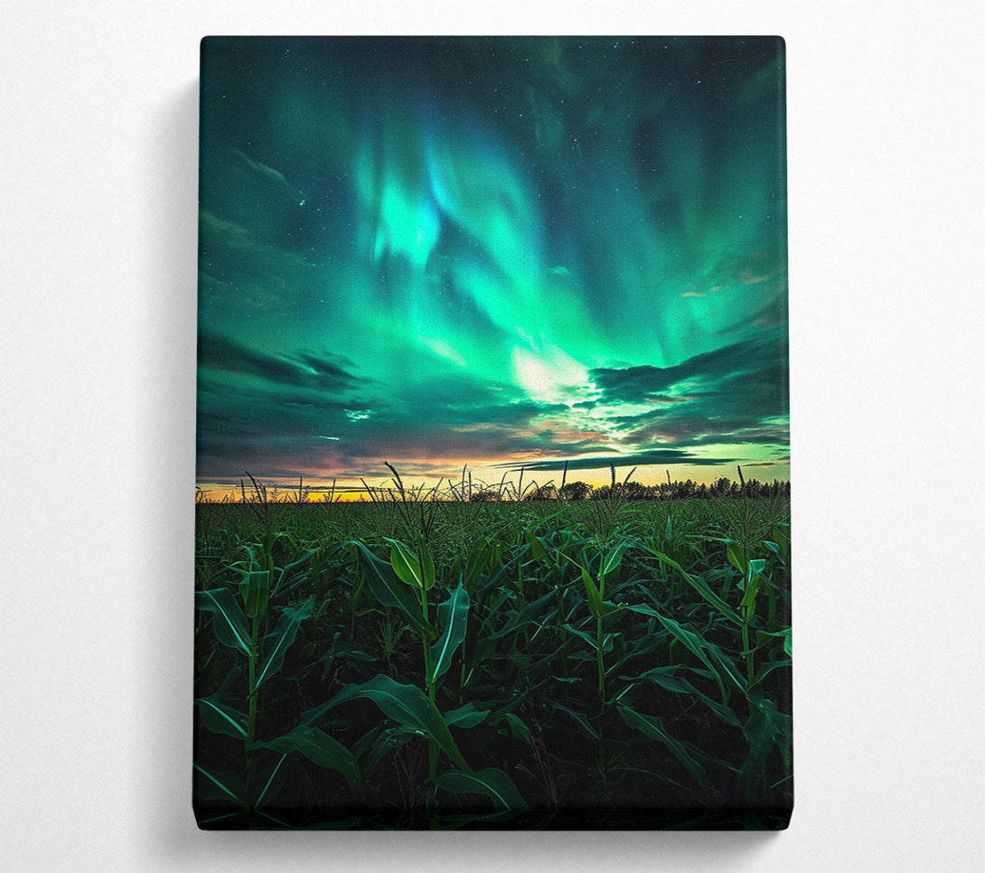  A Canvas Print of Cornfield Skies Canvas Art
