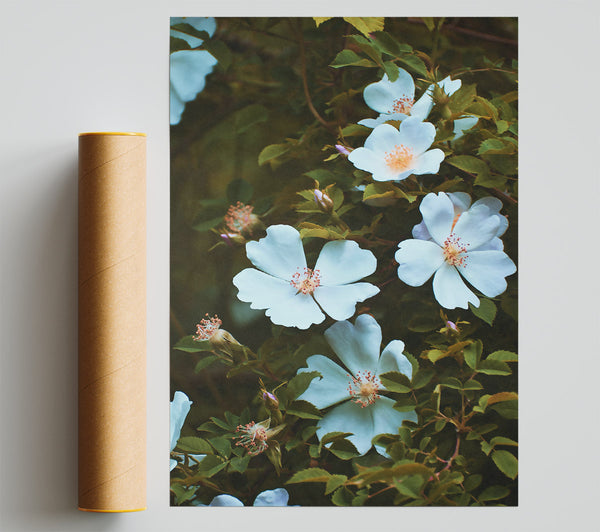 Pale Blooms In Green Giclee Print