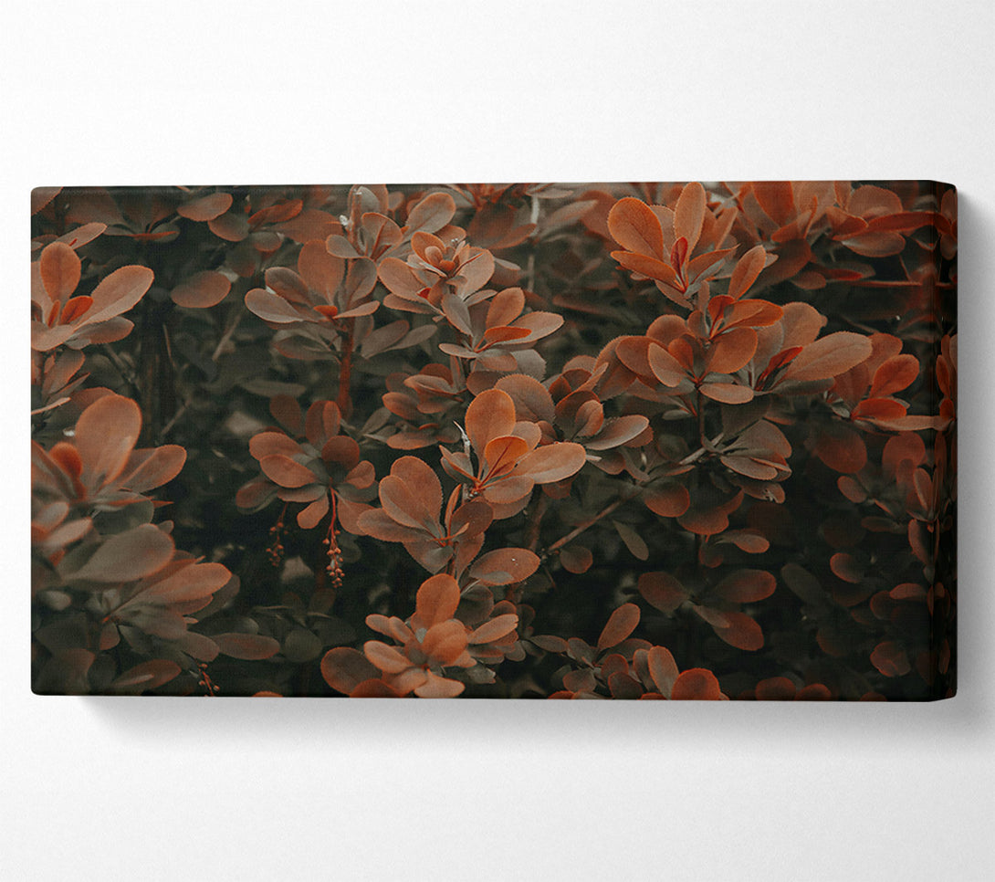  A Canvas Print of Copper Leaf Whisper Canvas Art
