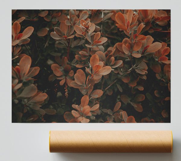 Copper Leaf Whisper Giclee Print