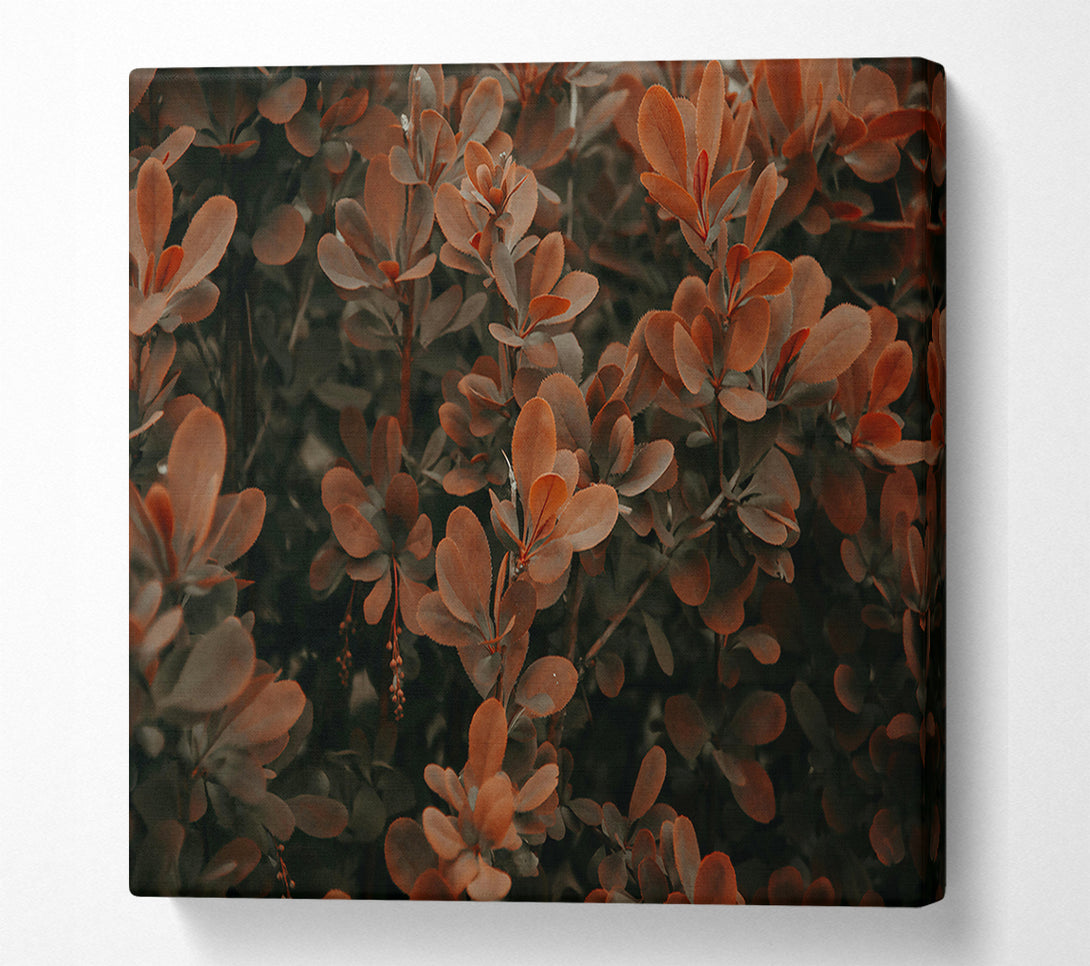  A Canvas Print of Copper Leaf Whisper Canvas Art